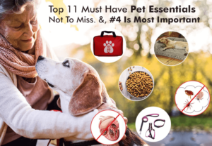 11-Must-Have-Pet-Essentials