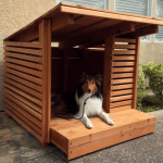 Dog-in-Garden-Shade-Structure