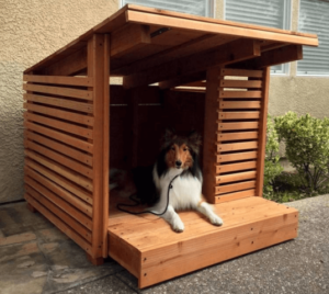 Dog-in-Garden-Shade-Structure