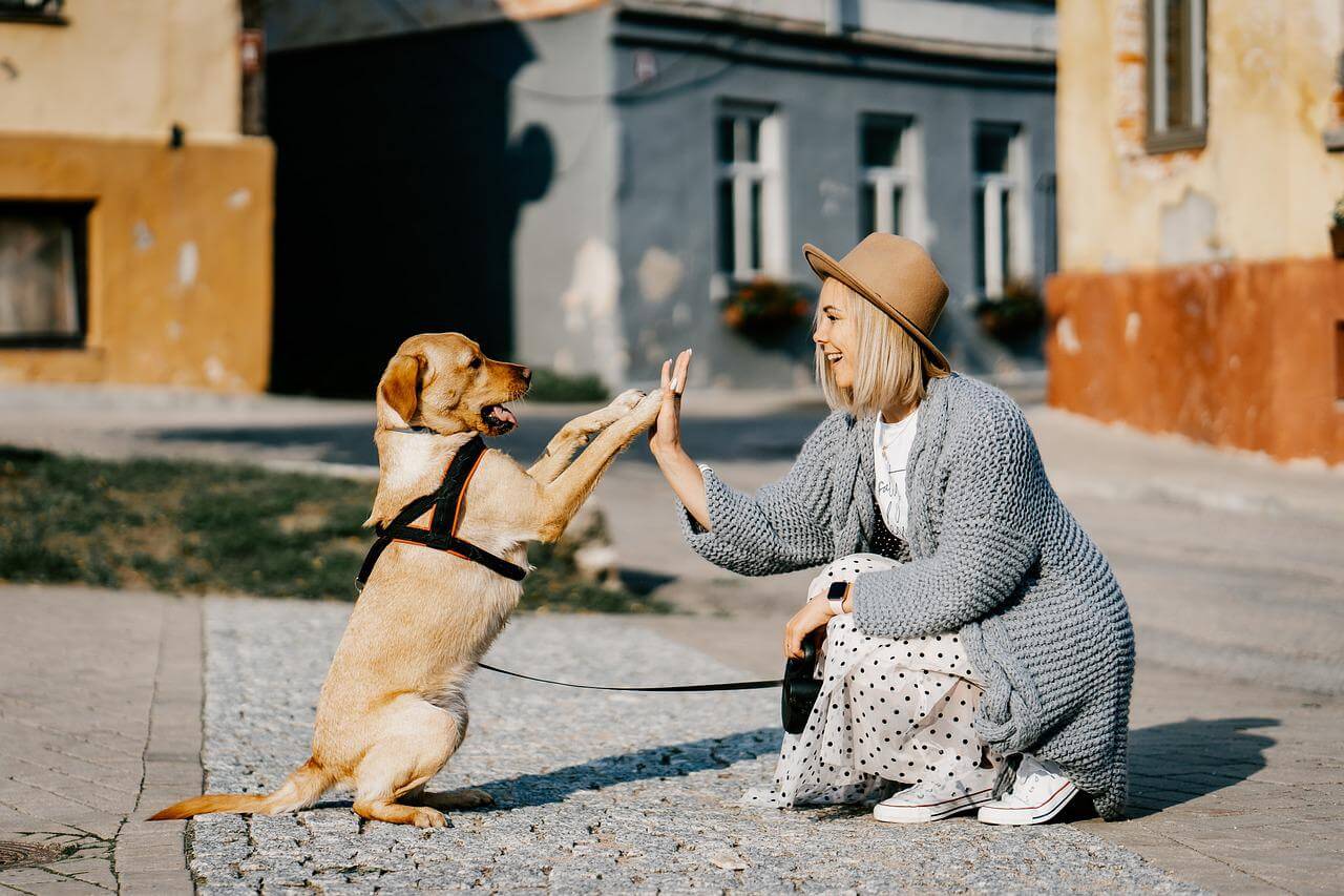 girl-dog-pet-friendship-companion