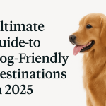 Dog Destination