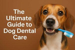 Dog Dental care