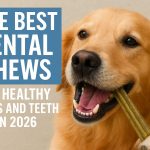 Dog Dental Chews