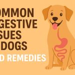 Common Digestive Issues in Dogs and Effective Remedies