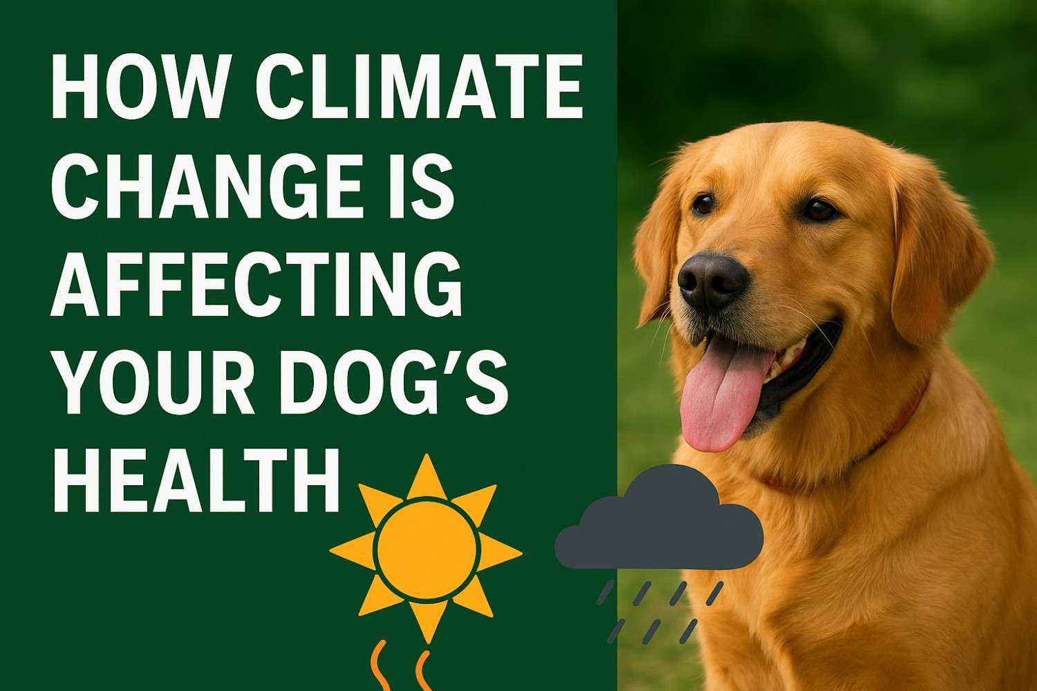 Image showcasing How Climate Change Is Affecting Your Dog’s Health