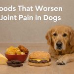 Foods That worsen joint pain