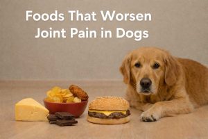 Foods That worsen joint pain