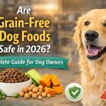 grain-free dog foods safe in 2026