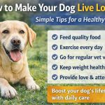 Dog Healthy