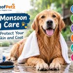 Dog Monsoon
