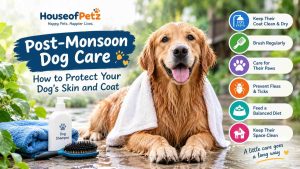 Dog Monsoon