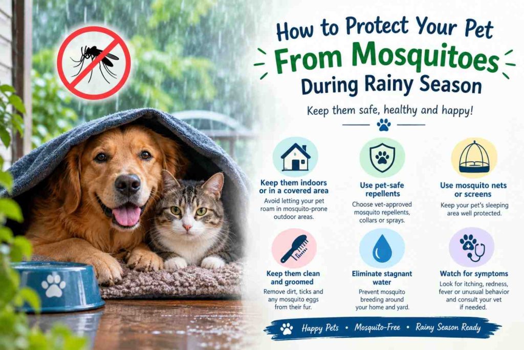 DoG Mosquito
